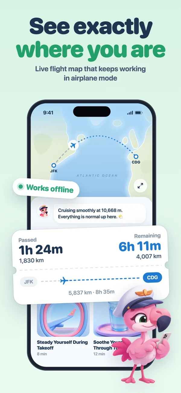 FlyNest live flight map from JFK to CDG working offline, with time passed and time remaining
