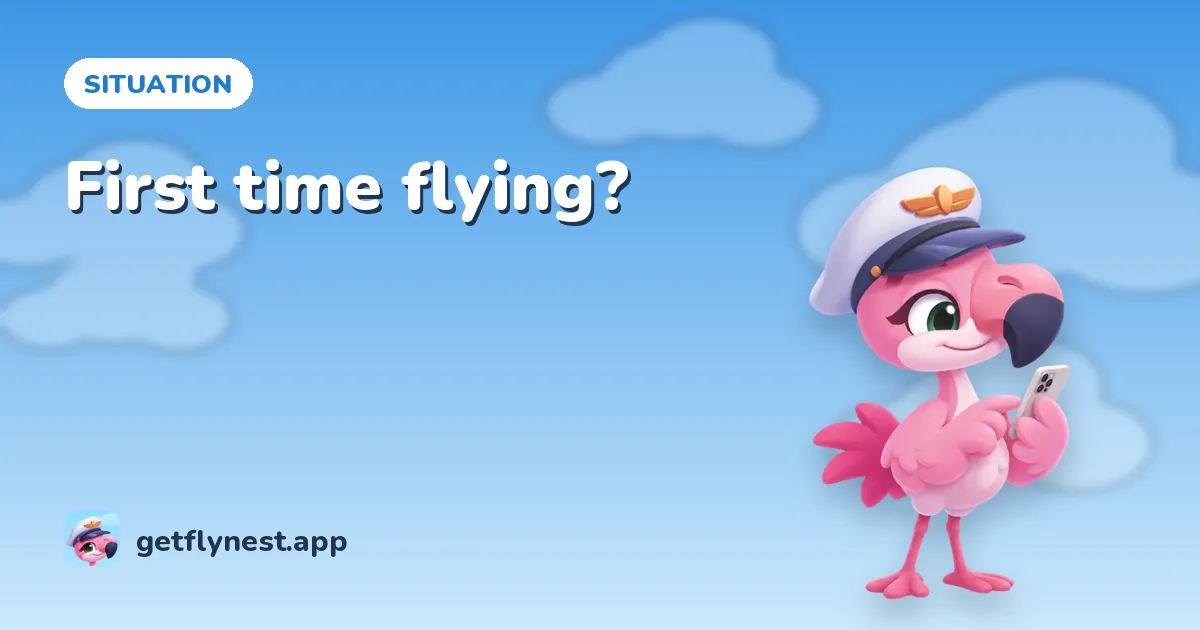 First time flying? A calm, step-by-step guide to your first flight: FlyNest illustration with Nesty, the flamingo captain